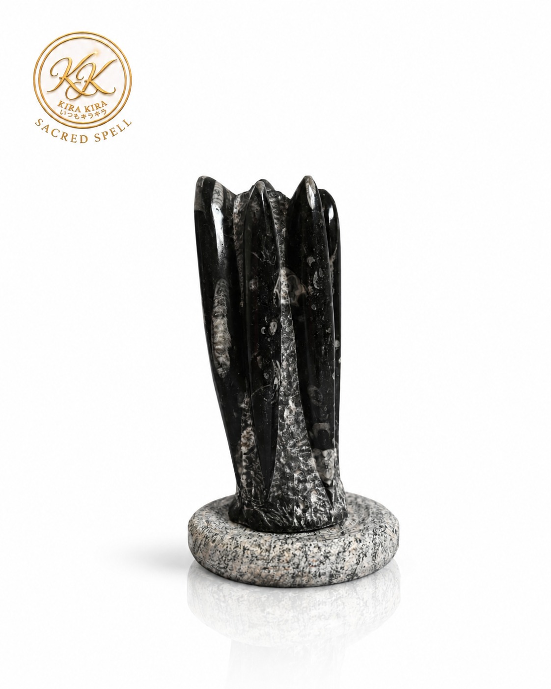 Orthoptera fossil tower